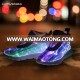 Battery Operated Light up Rechargeable LED Shoes